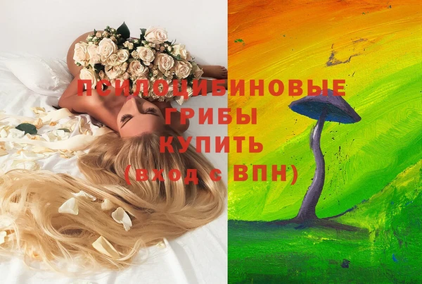 винт Арсеньев