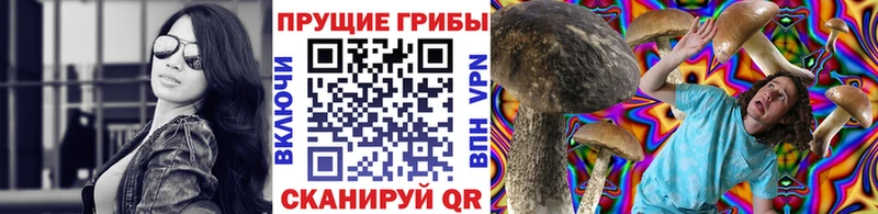 Галлюциногенные грибы Psilocybe  Полярные Зори 